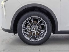FAW Besturn T55 1.5T Automatic Leap Edition - ფოტო 17