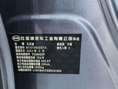 BYD Dolphin Glory Edition 420km Fashion Version - ფოტო 10