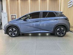 BYD Dolphin Glory Edition 420km Fashion Version - ფოტო 2