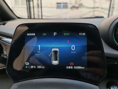 BYD Dolphin Glory Edition 420km Fashion Version - ფოტო 8