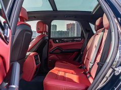 Porsche 2019 Cayenne 3.0T - ფოტო 11