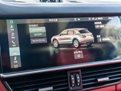Porsche 2019 Cayenne 3.0T - ფოტო 15