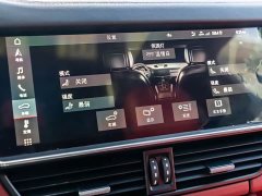 Porsche 2019 Cayenne 3.0T - ფოტო 16