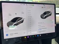 Tesla Model 3 Standard Range RWD Upgrade 3D6 - ფოტო 12