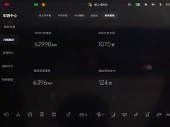 Li Auto L9 Pro - ფოტო 8