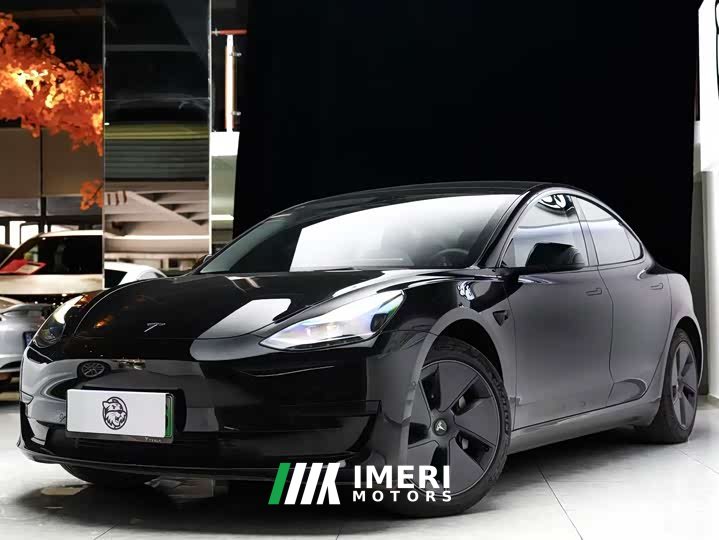 Tesla Model 3 Rear-Wheel Drive