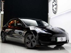 Tesla Model 3 Rear-Wheel Drive - ფოტო 3