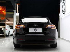 Tesla Model 3 Rear-Wheel Drive - ფოტო 8