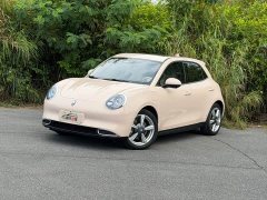 ORA Good Cat 401km Standard Range Deluxe LFP - ფოტო 1