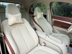 ORA Good Cat 401km Standard Range Deluxe LFP - ფოტო 20