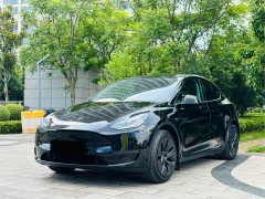 Tesla Model Y Rear-Wheel Drive - ფოტო 1