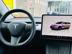 Tesla Model Y Rear-Wheel Drive - ფოტო 10