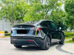 Tesla Model Y Rear-Wheel Drive - ფოტო 18