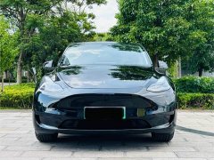Tesla Model Y Rear-Wheel Drive - ფოტო 2
