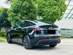 Tesla Model Y Rear-Wheel Drive - ფოტო 20