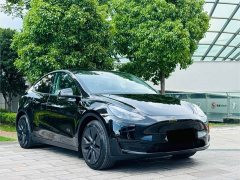 Tesla Model Y Rear-Wheel Drive - ფოტო 3