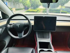 Tesla Model Y 2022 Rear-Wheel Drive - ფოტო 8