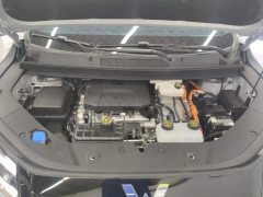 Wuling Starlight 730 New Energy PHEV 125km Luxury - ფოტო 10