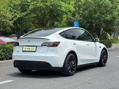 Tesla Model Y 2022 Performance All-Wheel Drive - ფოტო 3