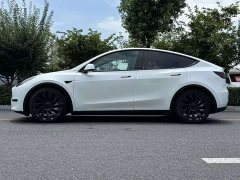 Tesla Model Y 2022 Performance All-Wheel Drive - ფოტო 7