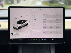 Tesla Model Y 2022 Performance All-Wheel Drive - ფოტო 8