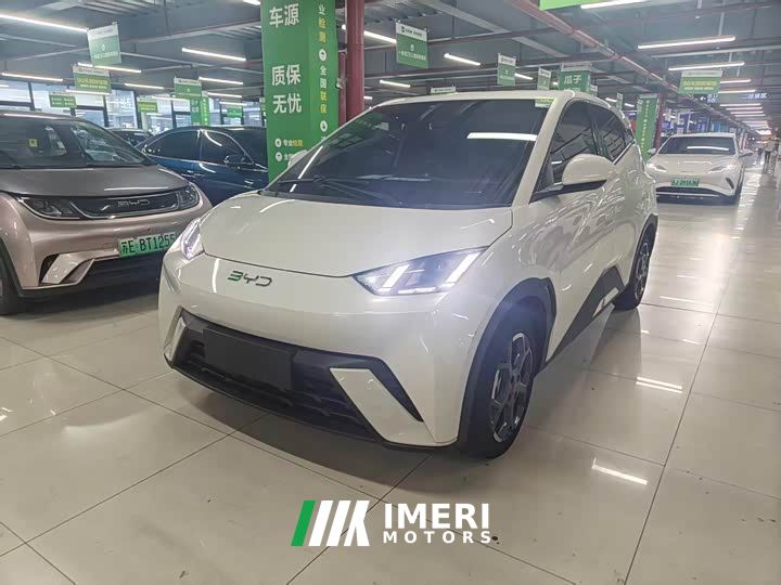 BYD Seagull 305km Freedom Edition