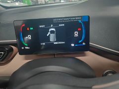 BYD Seagull 2025 305km Freedom Edition - ფოტო 13