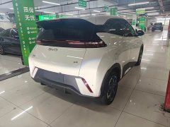 BYD Seagull 2025 305km Freedom Edition - ფოტო 5