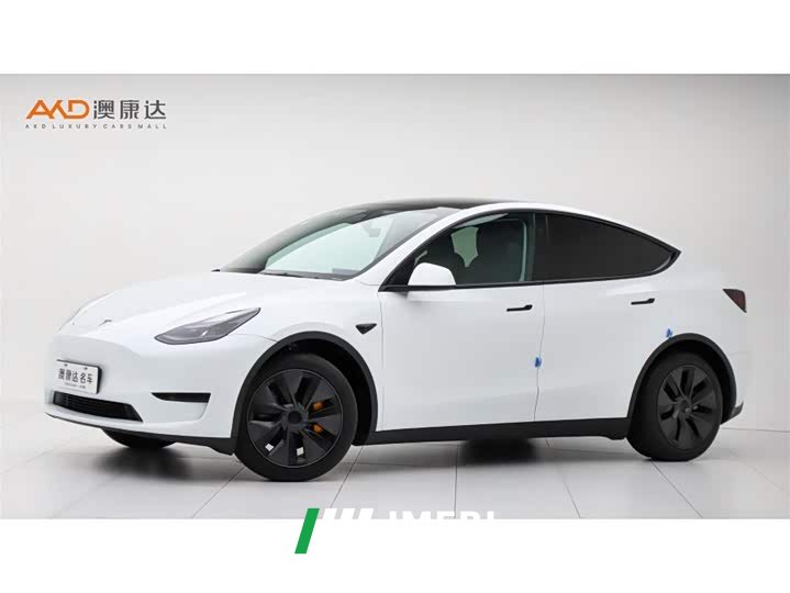 Tesla Model Y Rear-Wheel Drive