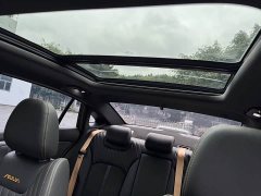 Dongfeng Yixuan MAX 1.5T Midnight Holy Light Edition Hybrid - ფოტო 20