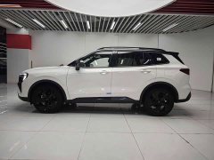 Ford Lingrui New Energy 2025 Elite Plus - ფოტო 6