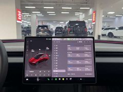 Tesla Model 3 Rear-Wheel Drive - ფოტო 14
