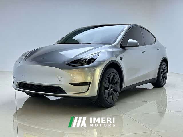Tesla Model Y Rear-Wheel Drive