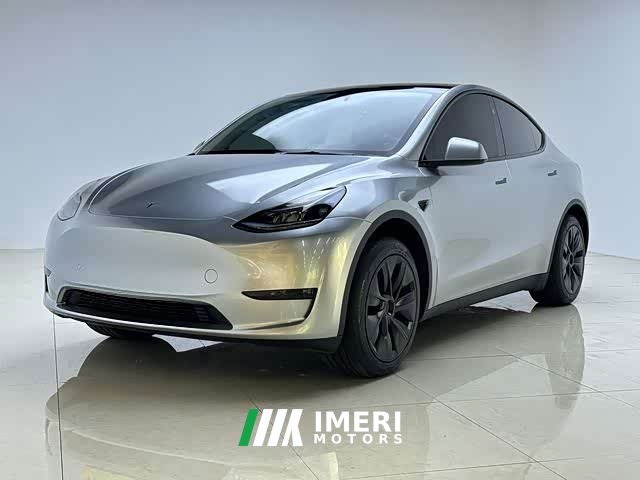 Tesla Model Y Rear-Wheel Drive