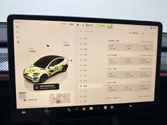 Tesla Model Y Rear-Wheel Drive - ფოტო 10