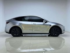 Tesla Model Y Rear-Wheel Drive - ფოტო 8