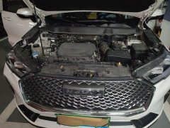 Haval H6 2021 3rd Gen 1.5T Automatic Lexiang Edition - ფოტო 16