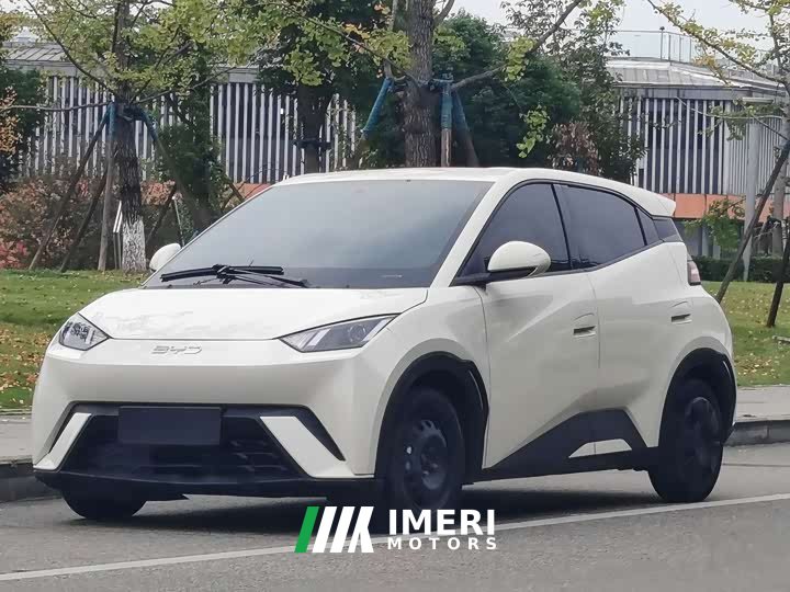 BYD Seagull Glory Edition 305km Vitality Version - ავტომობილი ჩინეთიდან