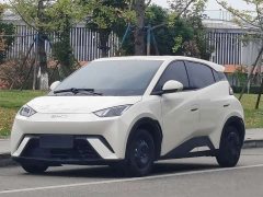 BYD Seagull Glory Edition 305km Vitality Version - ფოტო 1