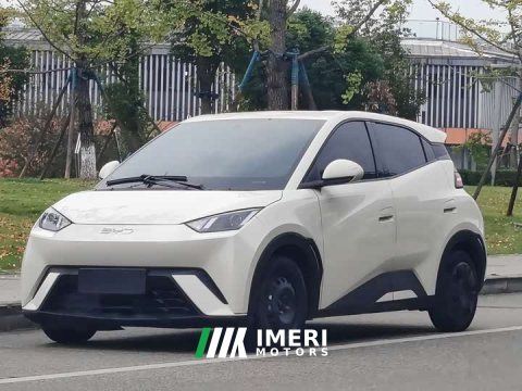 2024 BYD Seagull Glory Edition 305km Vitality Version - ავტომობილი ჩინეთიდან