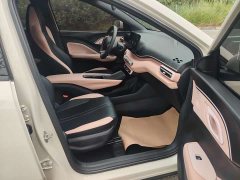 BYD Seagull Glory Edition 305km Vitality Version - ფოტო 10
