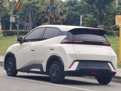 BYD Seagull Glory Edition 305km Vitality Version - ფოტო 16