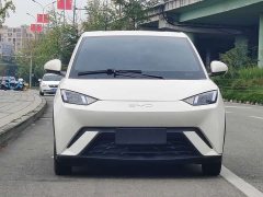 BYD Seagull Glory Edition 305km Vitality Version - ფოტო 2