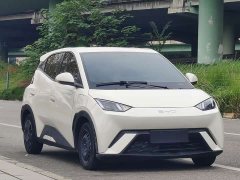 BYD Seagull Glory Edition 305km Vitality Version - ფოტო 3