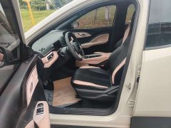 BYD Seagull Glory Edition 305km Vitality Version - ფოტო 8