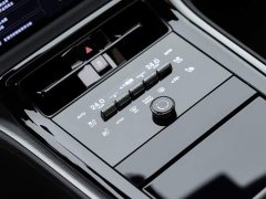Porsche Panamera 2.9T - ფოტო 14