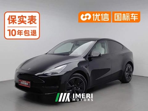 2021 Tesla Model Y Long Range All-Wheel Drive 3D7 - ავტომობილი ჩინეთიდან