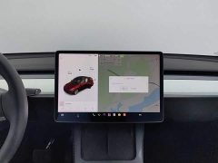 Tesla Model Y Long Range All-Wheel Drive 3D7 - ფოტო 12