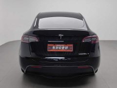 Tesla Model Y Long Range All-Wheel Drive 3D7 - ფოტო 4