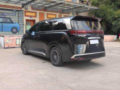 Denza BYD Denza D9 2022 DM-i 1040 Premium - ფოტო 18